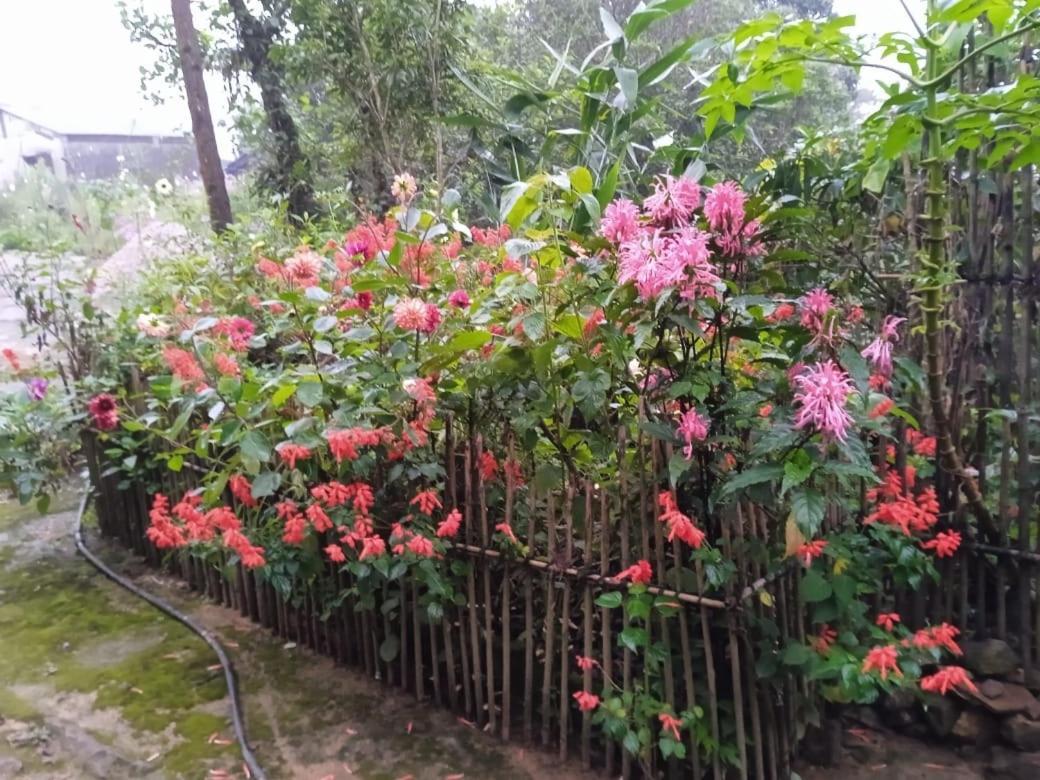 Meikha Homestay Pynursla 외부 사진